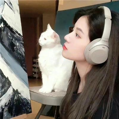 我的智障系统第二季